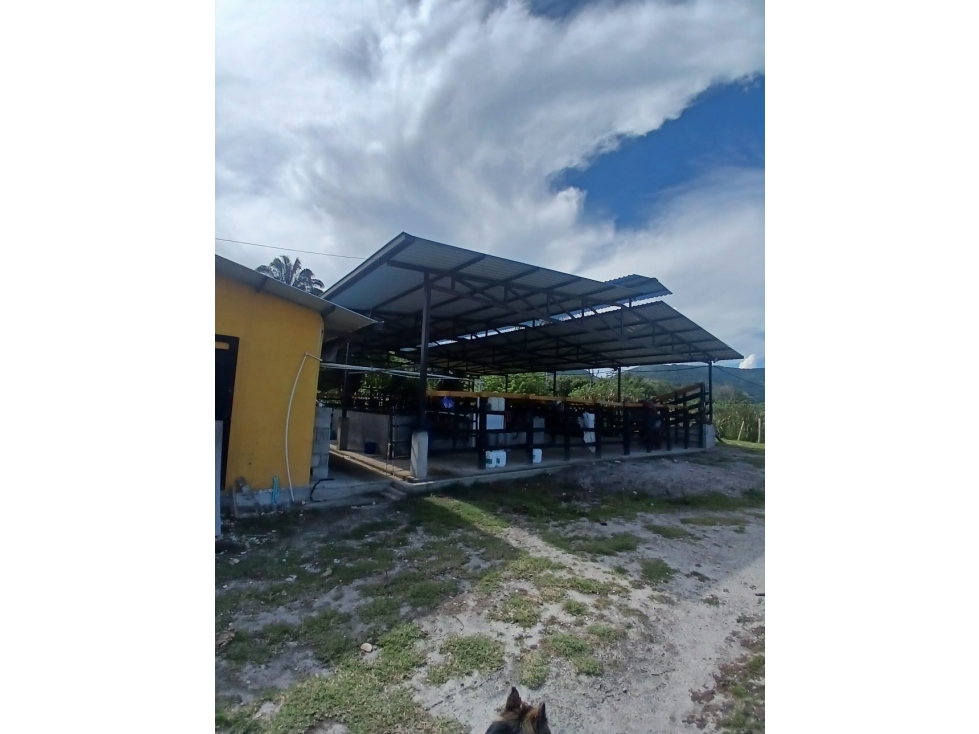VENTA DE FINCA SAN LUIS TOLIMA - 5