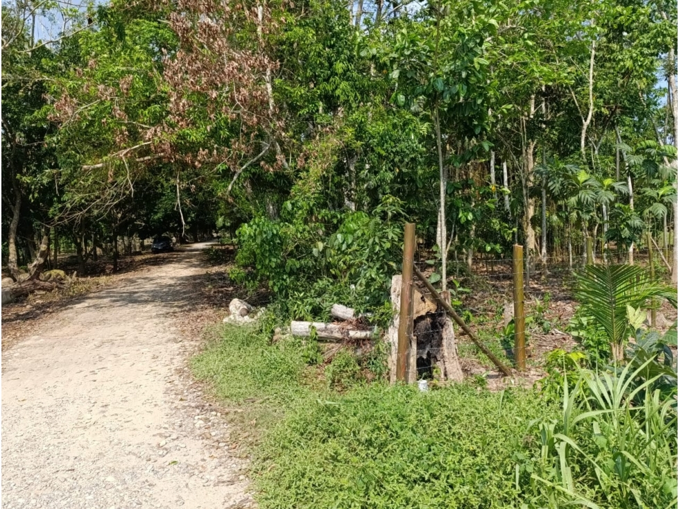 SE VENDE TERRENO PARA CASA DE CAMPO EN, PELEJO, PORVENIR, SAN MARTIN - 4