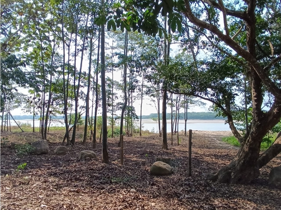 SE VENDE TERRENO PARA CASA DE CAMPO EN, PELEJO, PORVENIR, SAN MARTIN - 3