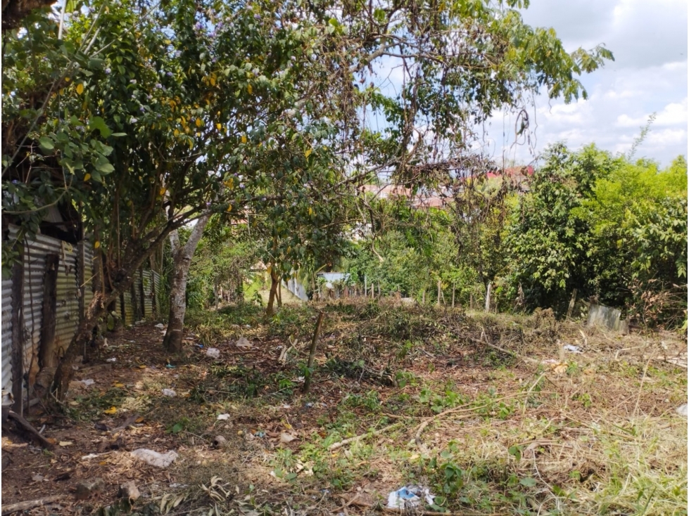 SE VENDE LOTE DE TERRENO EN YURIMAGUAS, LORETO - 3