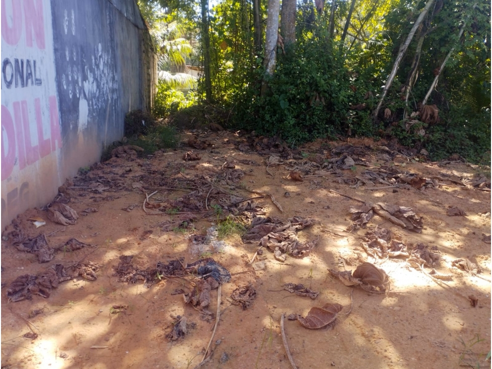 SE VENDE LOTE DE TERRENO EN YURIMAGUAS, LORETO - 4