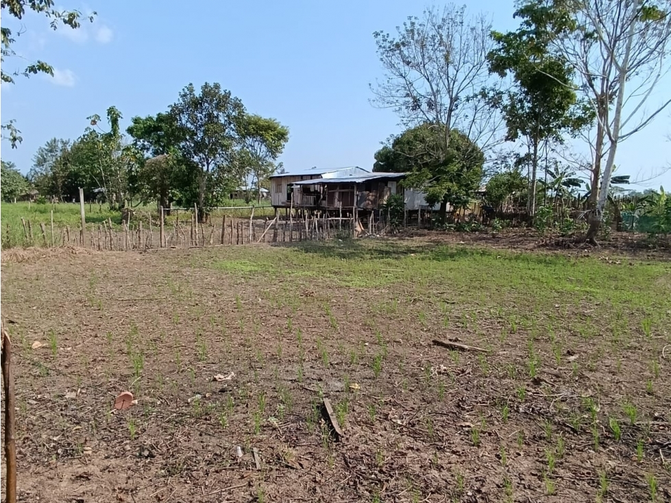 SE VENDE TERRENO PARA CASA DE CAMPO EN, PELEJO, PORVENIR, SAN MARTIN - 5