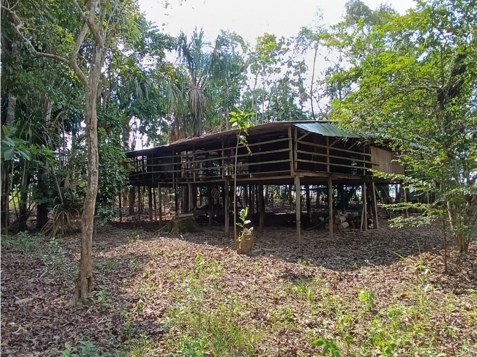 SE VENDE TERRENO PARA CASA DE CAMPO EN, PELEJO, PORVENIR, SAN MARTIN - 2