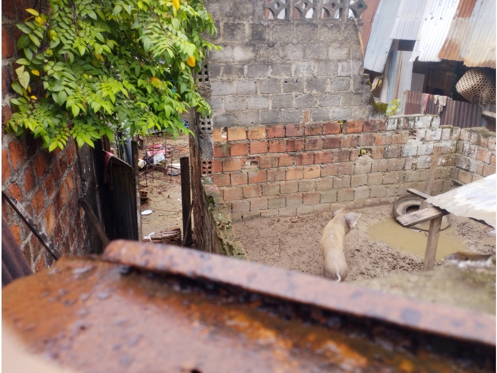 SE VENDE TERRENO CON PRECIO DE OCASIÓN EN CENTRO DE YURIMAGUAS - 5