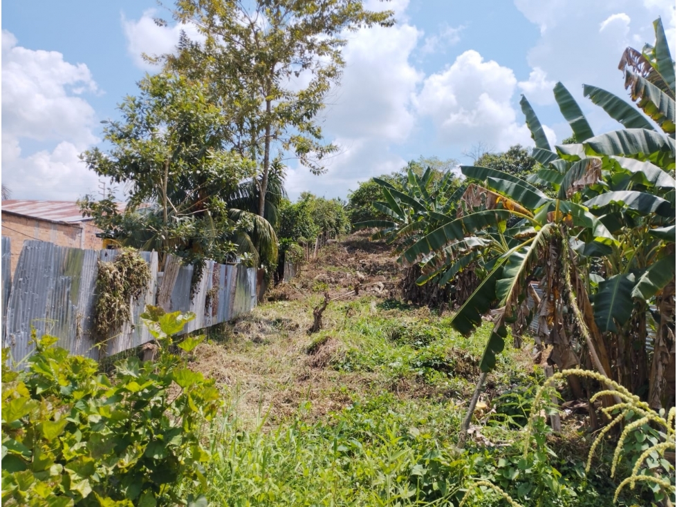 SE VENDE LOTE DE TERRENO EN YURIMAGUAS, LORETO - 2