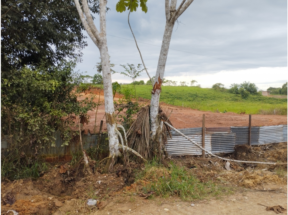 SE VENDE TERRENO DE 4,680 M2 EN YURIMAGUAS, LORETO - 2