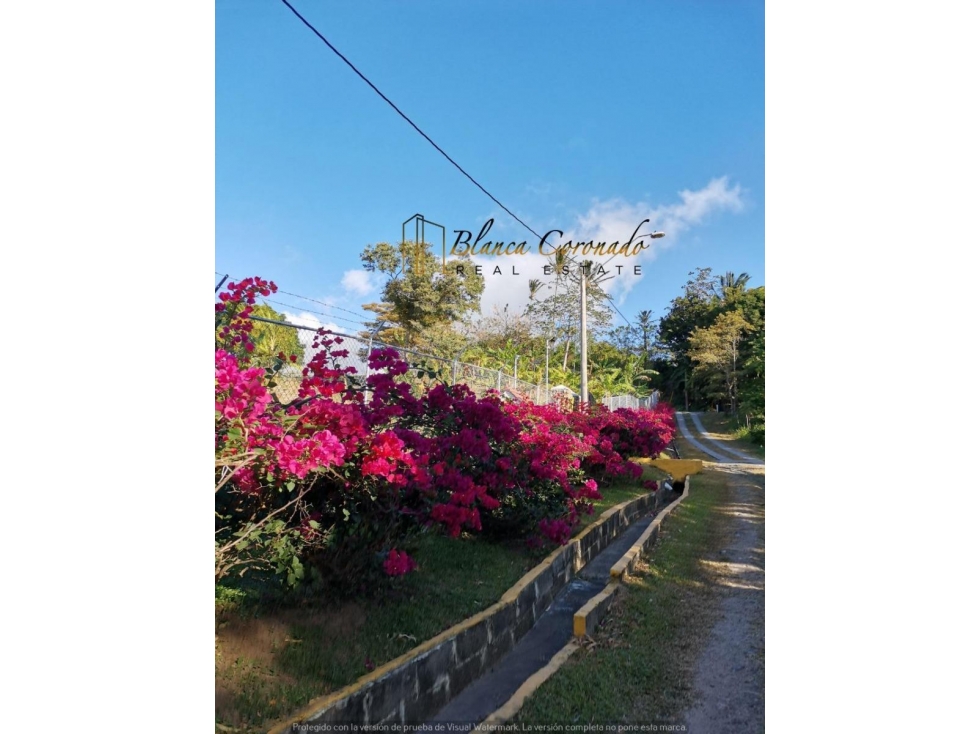 VENDO TERRENO EN LA LAGUNA DE SAN CARLOS