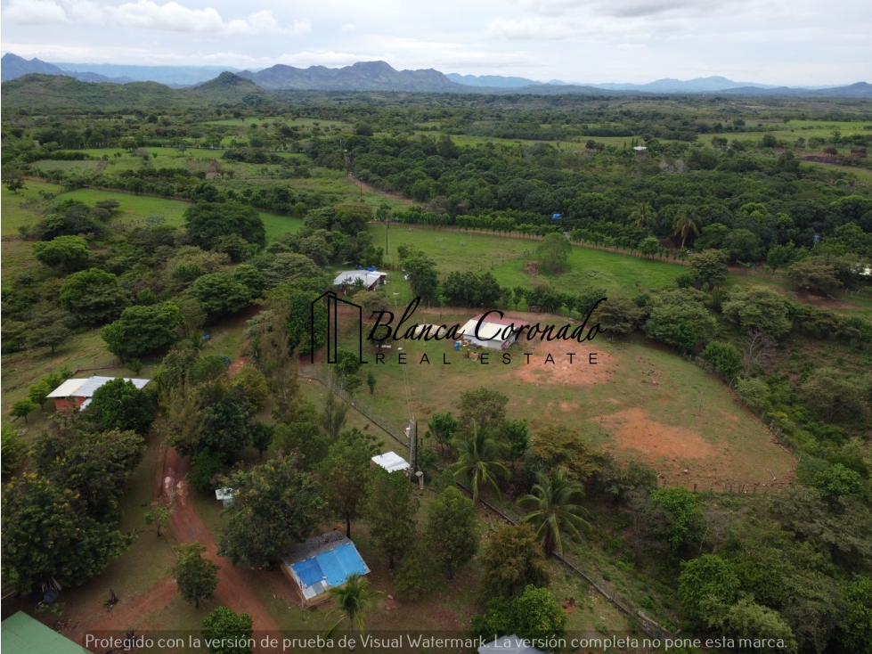VENTA DE FINCA EN AGUADULCE CON CERTIFICACION AGROTURISTICA - 6