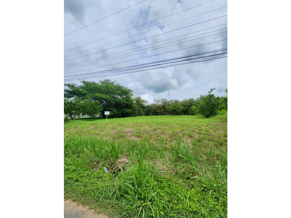 VENDO TERRENO EN CORONADO AVE. BOULEVARD — foto 2