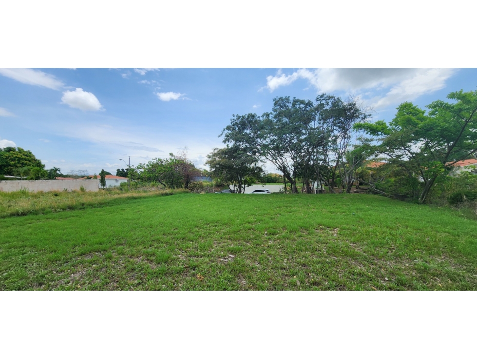 TERRENO EN VENTA EN CORONADO 800 M²