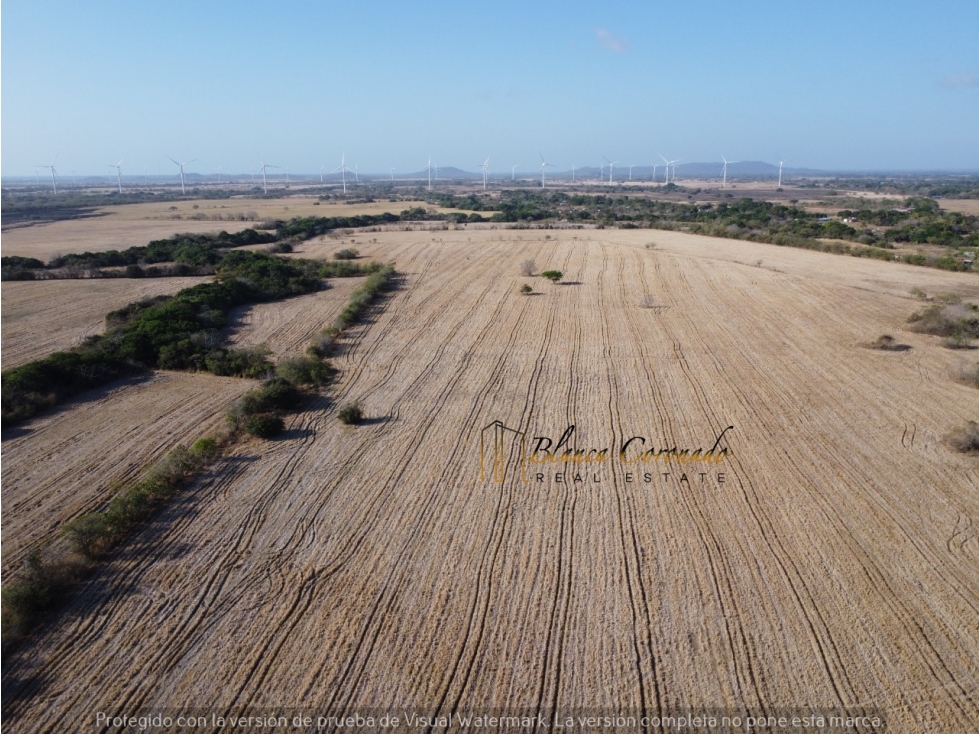 TERRENO EN VENTA EN PENONOME CERCA DEL PARQUE EOLICO - 2