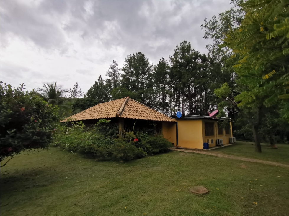 VENTA DE FINCA EN AGUADULCE CON CERTIFICACION AGROTURISTICA - 4