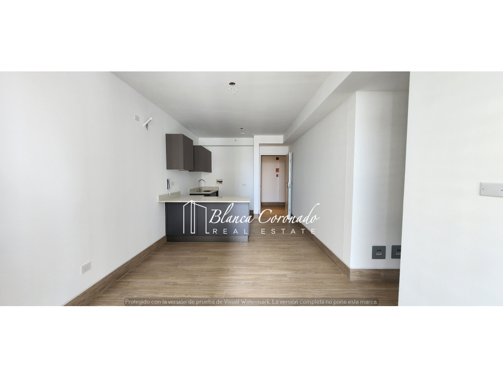 APARTAMENTO EN VENTA EN PH BALCONY 12 DE OCTUBRE PROYECTO NUEVO — foto 3