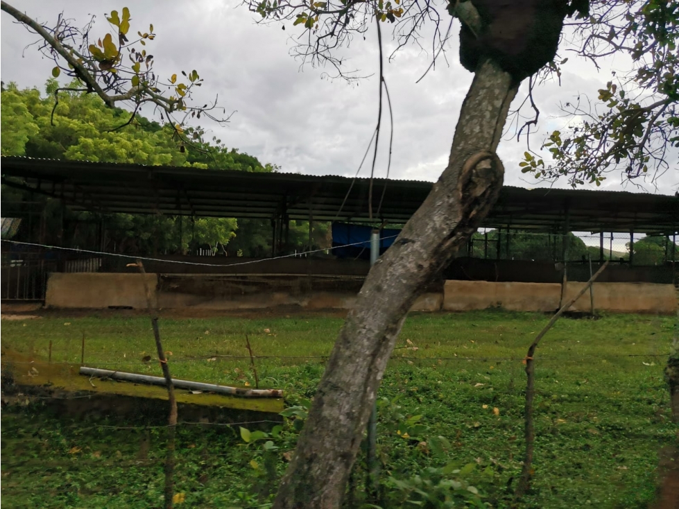 VENTA DE FINCA EN AGUADULCE CON CERTIFICACION AGROTURISTICA - 3