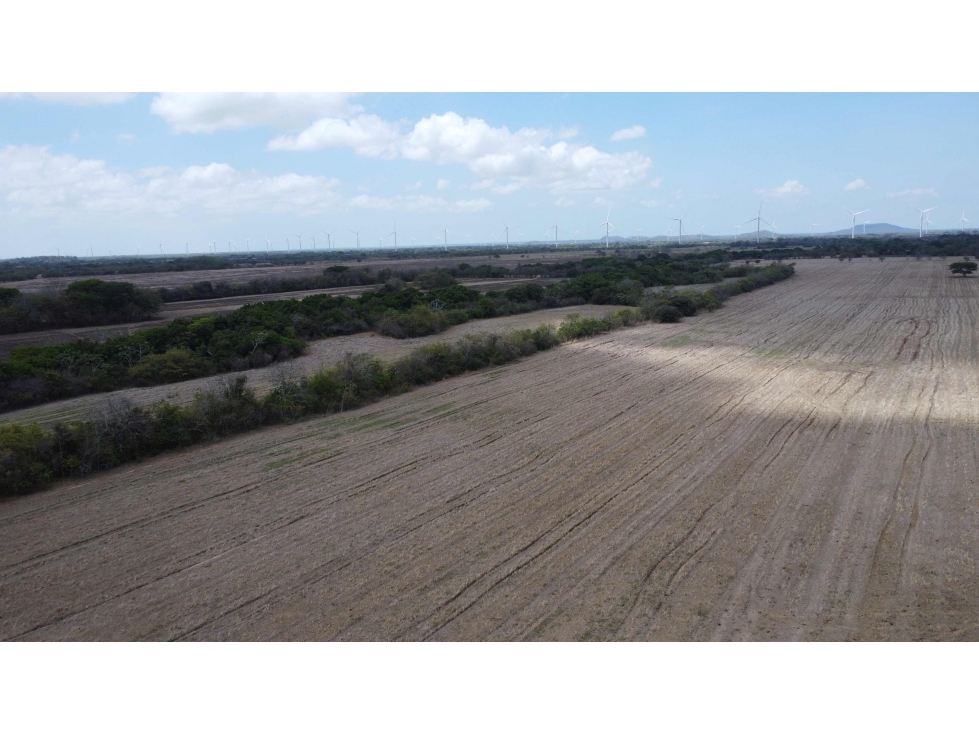TERRENO EN VENTA EN PENONOME CERCA DEL PARQUE EOLICO - 6