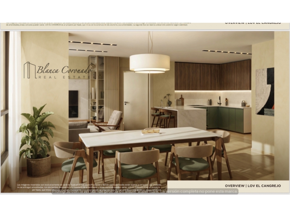 VENDO APARTAMENTO EN EL CANGREJO PH LOV PROYECTO NUEVO — foto 3