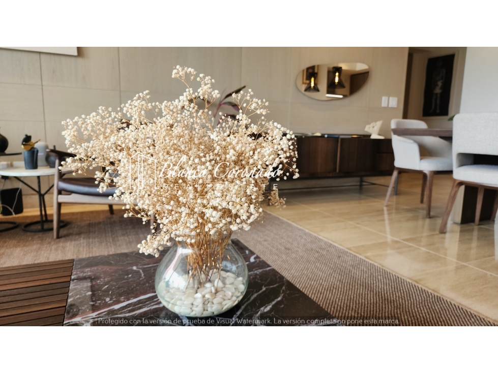 APARTAMENTO EN VENTA SANTA MARIA PROYECTO NUEVO PH CELESTE — foto 4