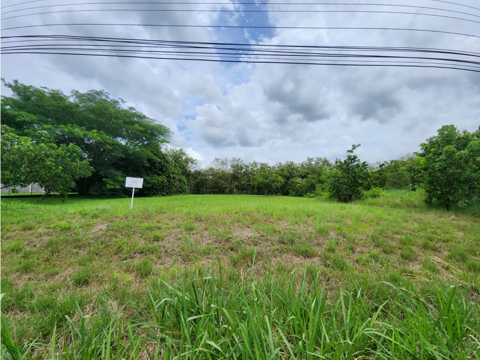VENDO TERRENO EN CORONADO AVE. BOULEVARD