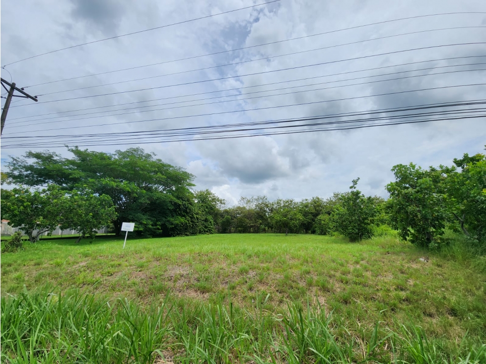 VENDO TERRENO EN CORONADO AVE. BOULEVARD — foto 5