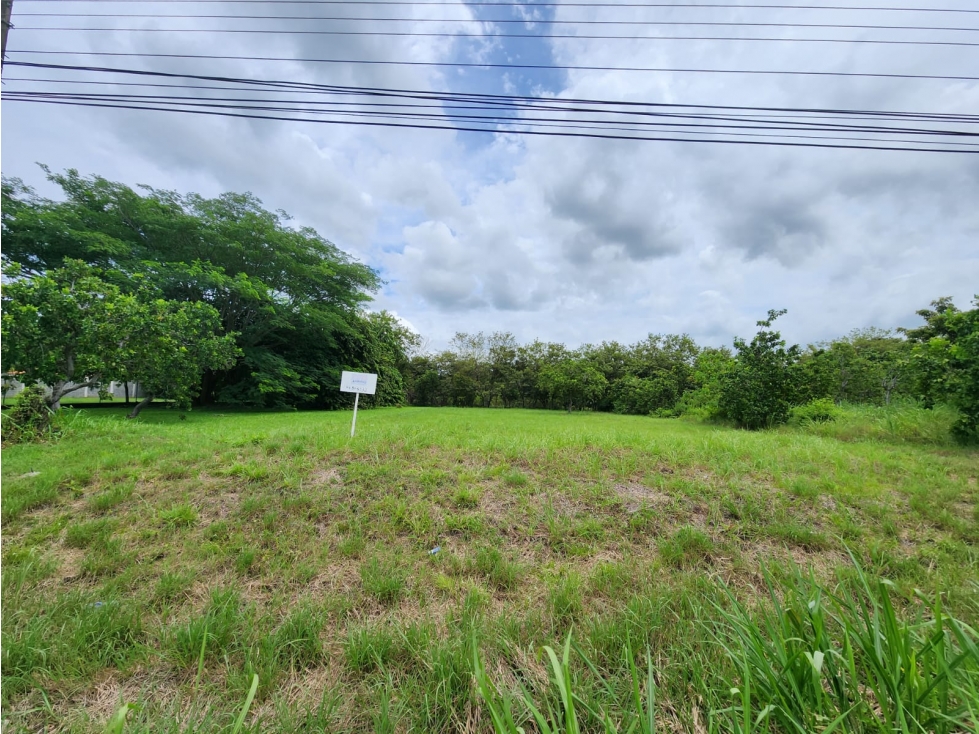 VENDO TERRENO EN CORONADO AVE. BOULEVARD — foto 6