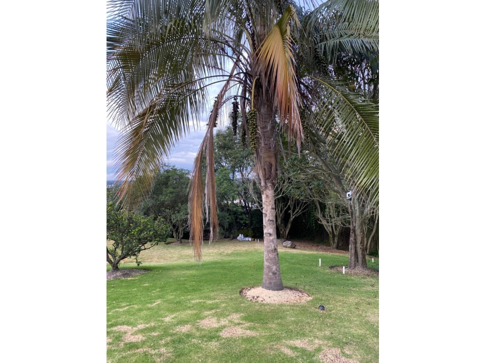 Terreno VENTA Cumbayá dentro de urbanización privada - 5