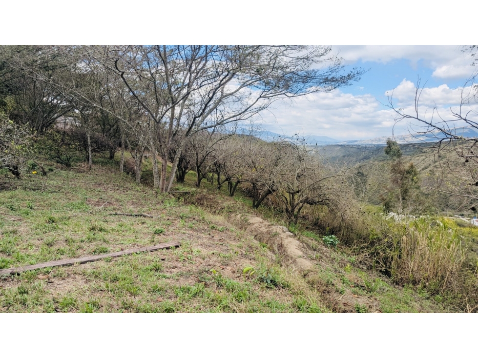 Terreno VENTA 5.647m2 NAYÓN, sector San Pedro del Valle - 3