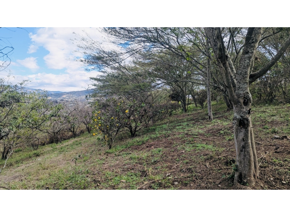 Terreno VENTA 5.647m2 NAYÓN, sector San Pedro del Valle - 5