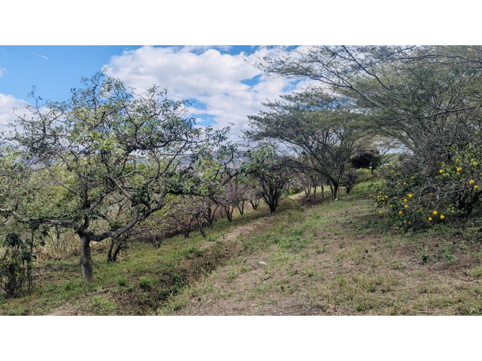 Terreno VENTA 5.647m2 NAYÓN, sector San Pedro del Valle - 6