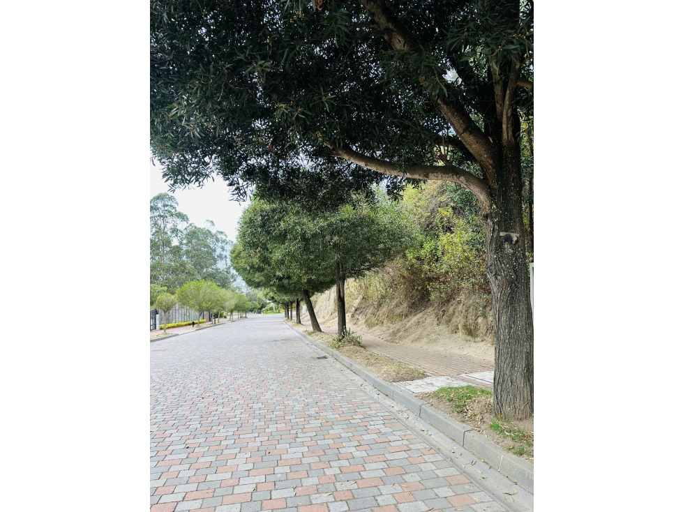 Terreno VENTA 1.078m2 CUMBAYÁ urbanización privada sector San Juan — foto 3