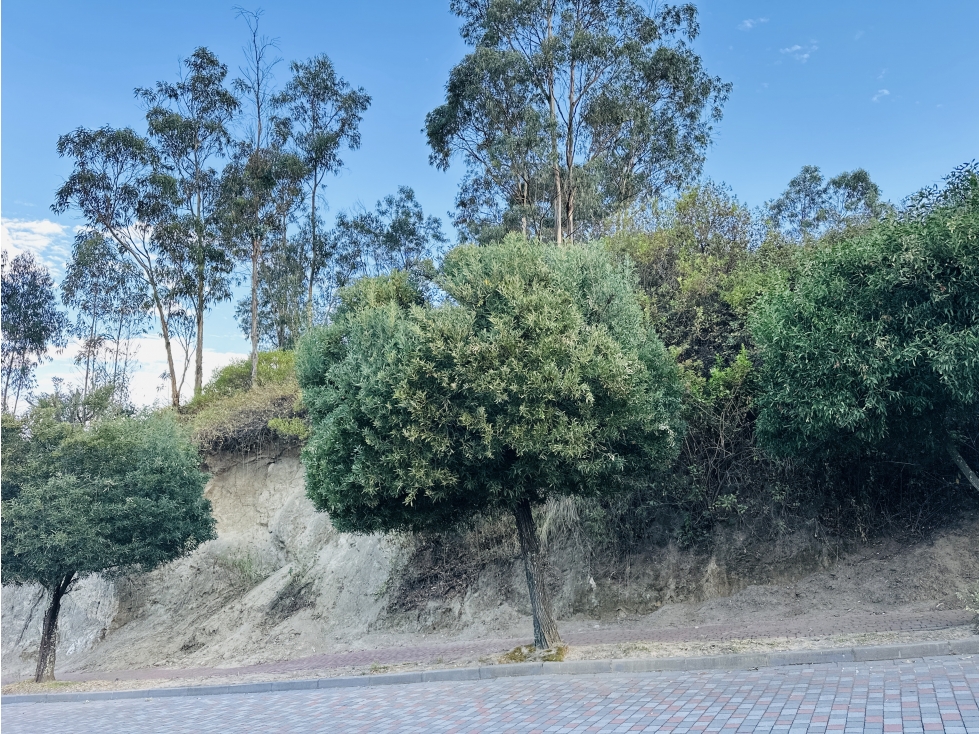 Terreno VENTA 1.078m2 CUMBAYÁ urbanización privada sector San Juan — foto 4