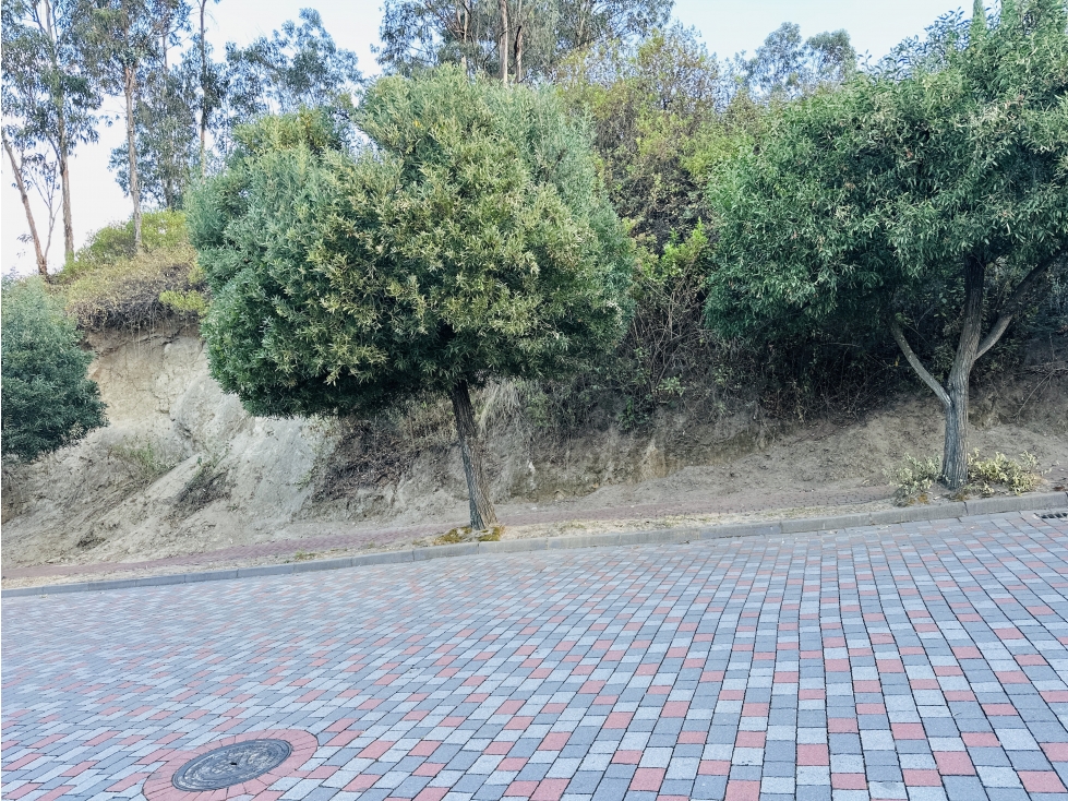 Terreno VENTA 1.078m2 CUMBAYÁ urbanización privada sector San Juan — foto 6