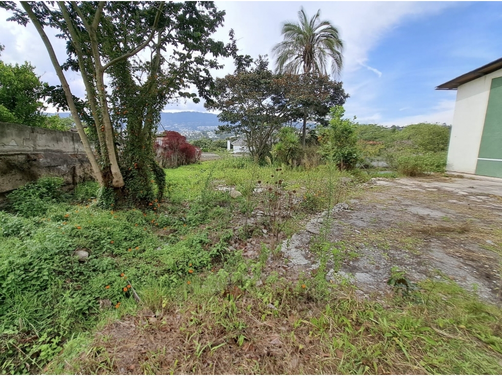 Terreno 3.680 m2 VENTA Cumbayá sector La Viña — foto 2