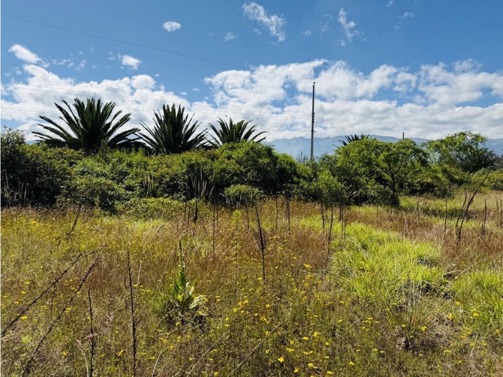 Terreno 1.266 m2 VENTA PUEMBO x arrayanes - 2