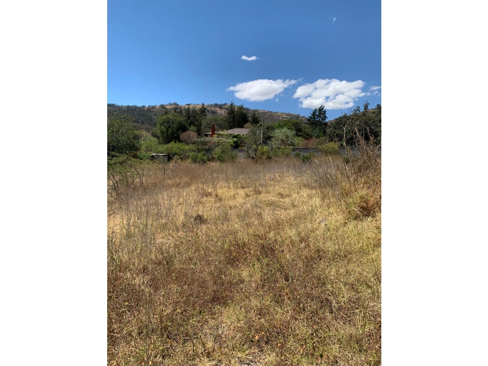 Terreno VENTA Tumbaco junto a ruta viva 2966 m2 - 3