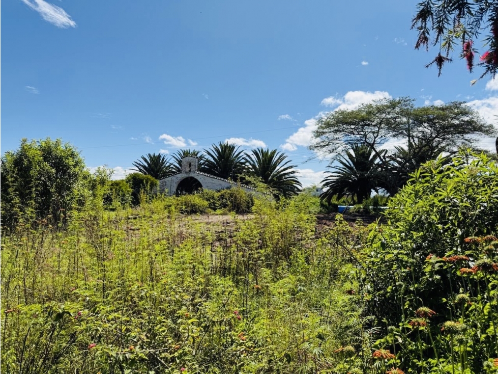 Terreno 1.266 m2 VENTA PUEMBO x arrayanes - 3