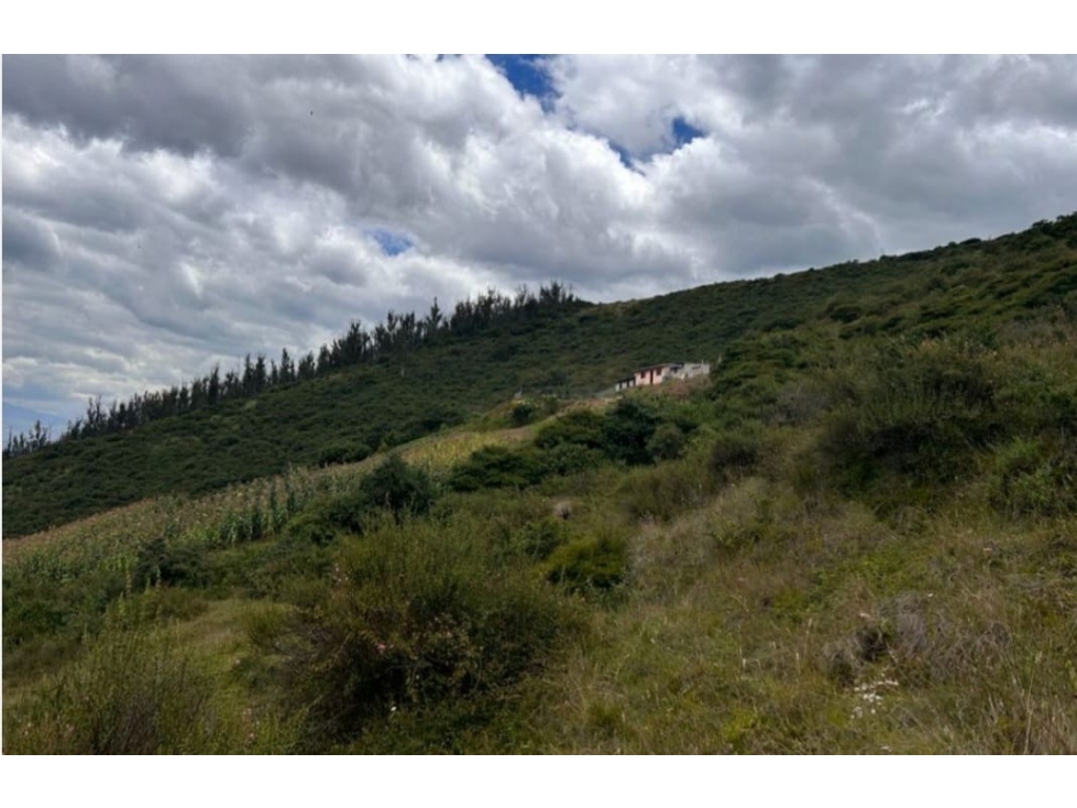 Terreno VENTA 1hectárea Cumbayá en el Ilaló - 4