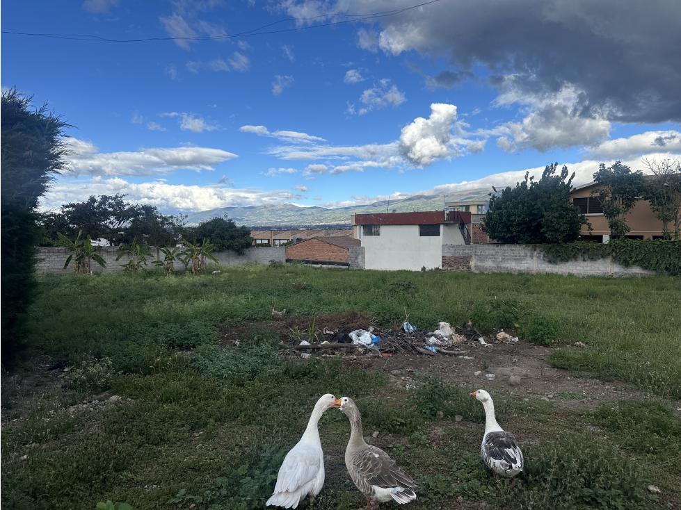Terreno VENTA 1.700 m2 planos Cumbayá La Primavera - 4
