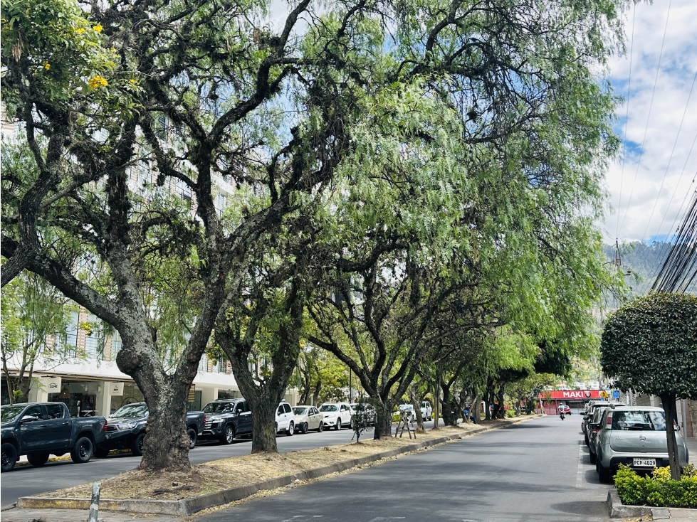 Casa en venta en Cumbayá-comercial La Pampite — foto 4