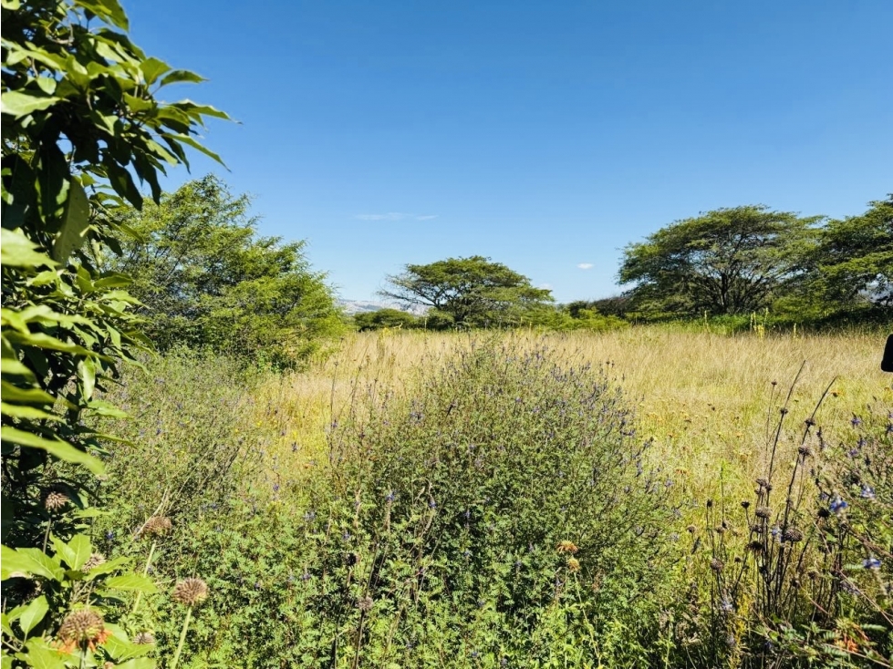 Terreno 1.266 m2 VENTA PUEMBO x arrayanes - 4