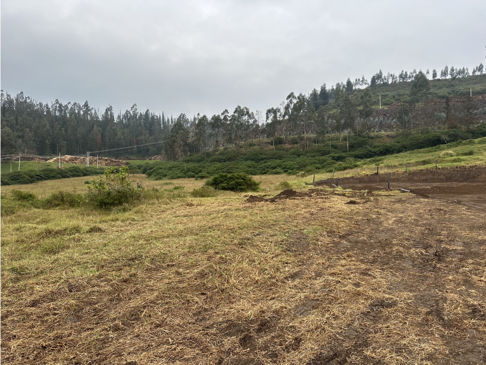 Terreno INDUSTRIAL alto impacto 21.265m2 VENTA Pifo Palugo - 5