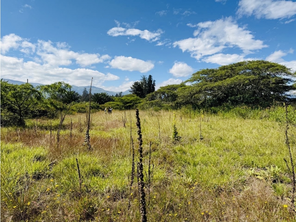 Terreno 1.266 m2 VENTA PUEMBO x arrayanes - 5