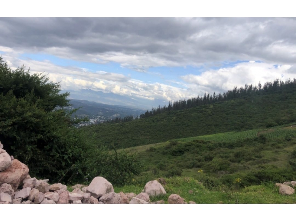 Terreno VENTA 1hectárea Cumbayá en el Ilaló - 6