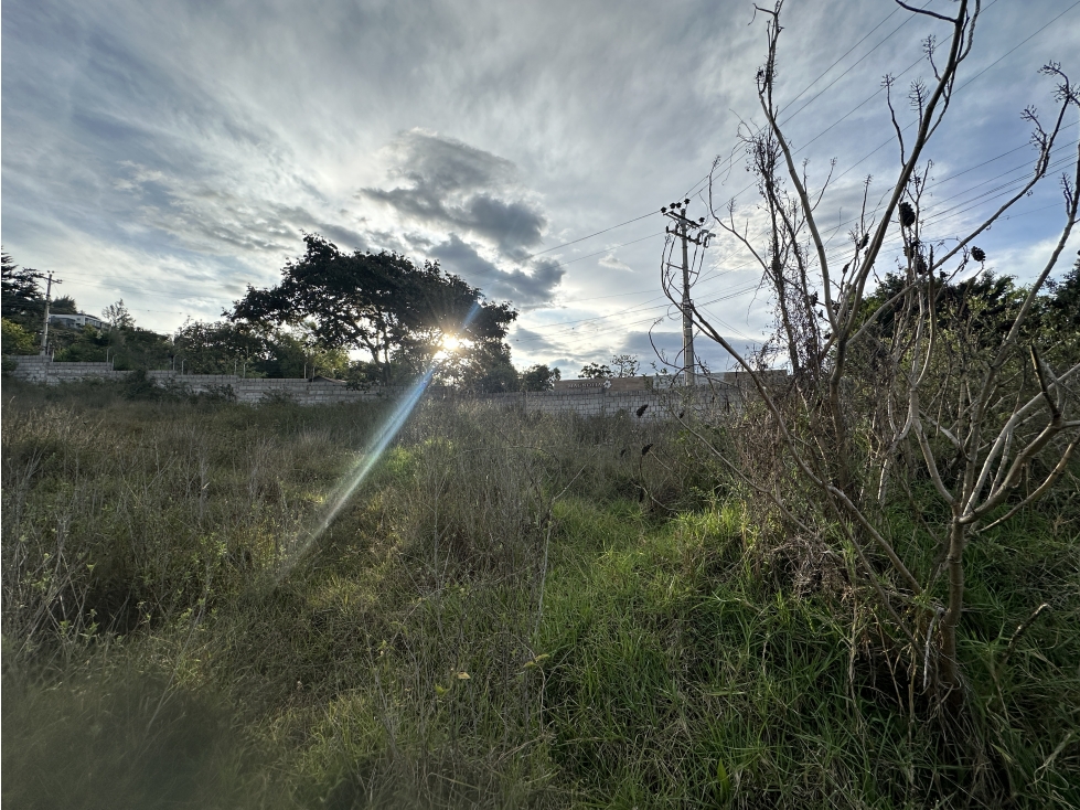 Terreno plano VENTA 3.776m2 Tumbaco - 6