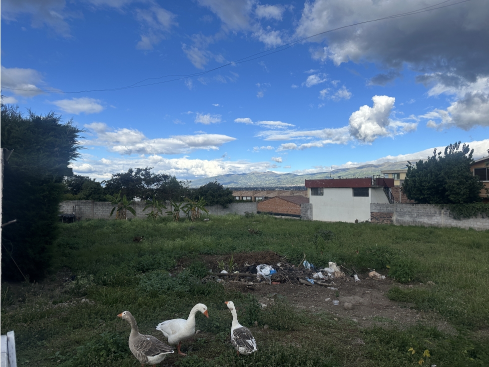 Terreno VENTA 1.700 m2 planos Cumbayá La Primavera - 6