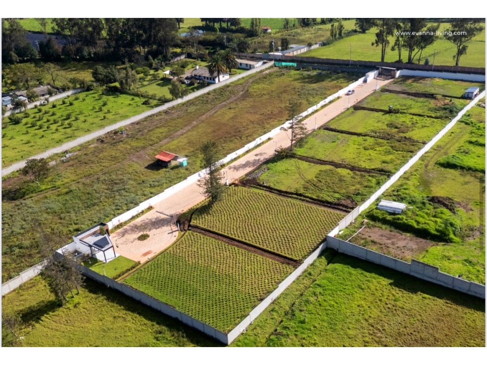 Terreno VENTA 1.143m2 PUEMBO conjunto EVANNA - 6
