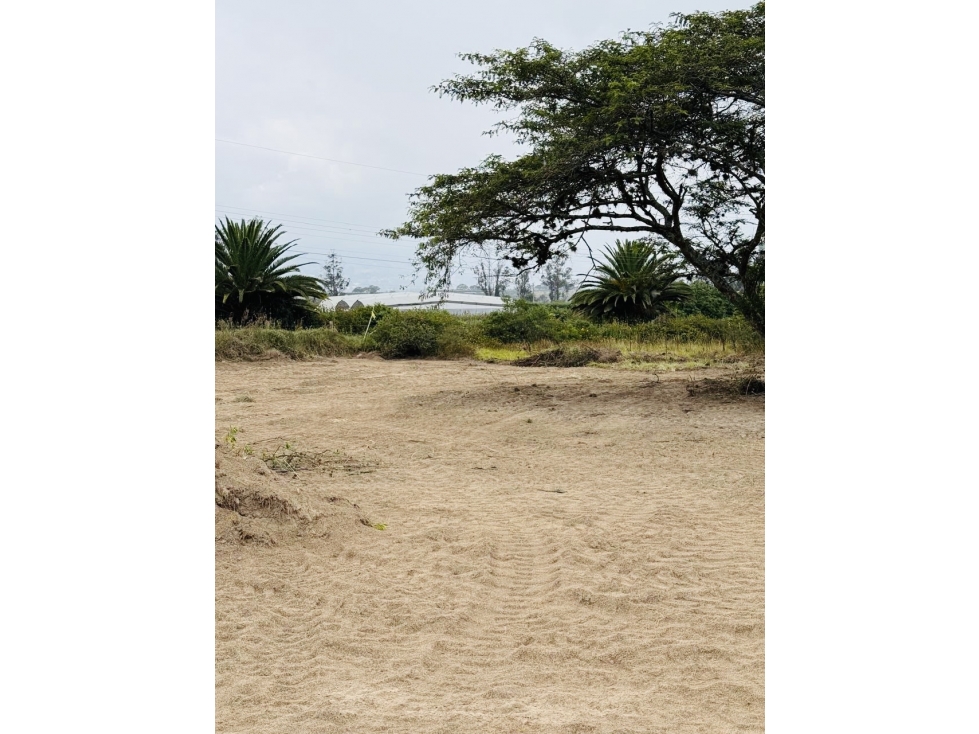 Terreno 1.266 m2 VENTA PUEMBO x arrayanes - 6