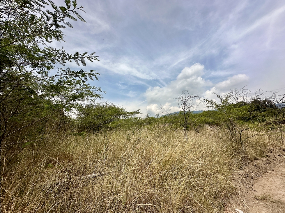 TERRENO VENTA NAYÓN 10217m2 sector nuevo campus universidad Católica - 5