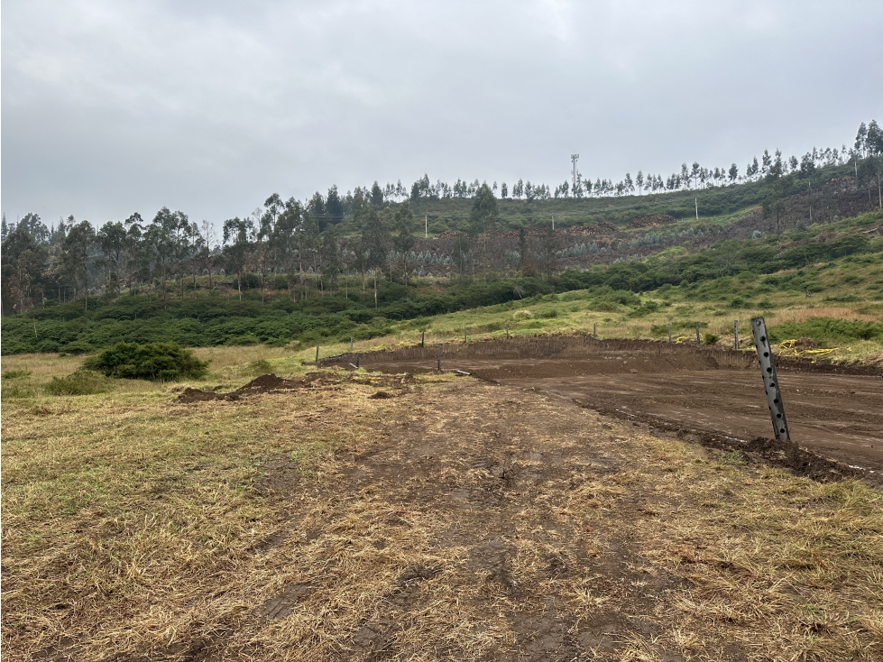 Terreno INDUSTRIAL alto impacto 3.672 m2 VENTA Pifo Palugo - 5