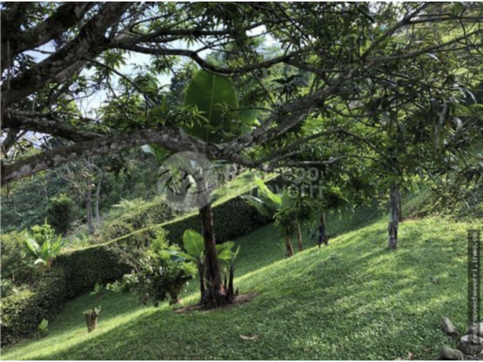 El Rosario, lote 1.750 m², la casa 205 m² Asking $1.100 mil COP — foto 3