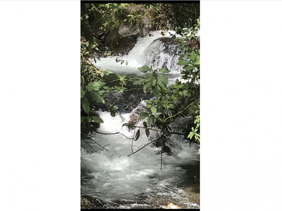 400 cuadras 1 hour from Pereira - 3
